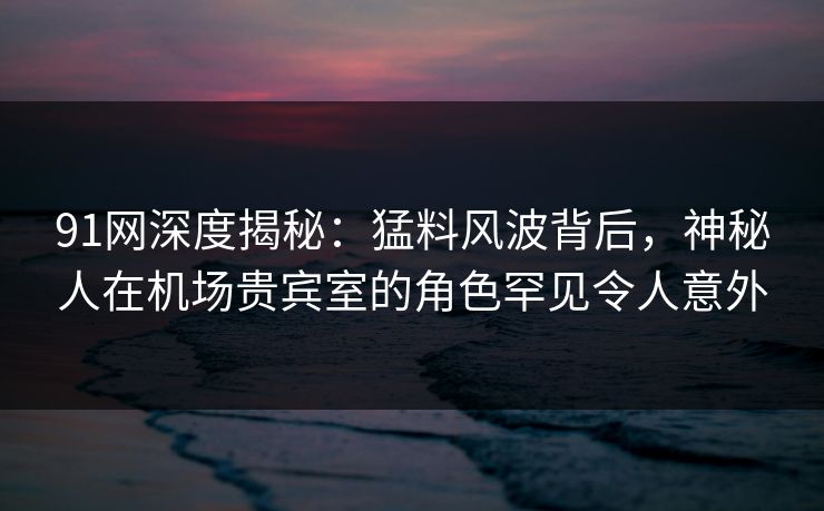 91网深度揭秘：猛料风波背后，神秘人在机场贵宾室的角色罕见令人意外