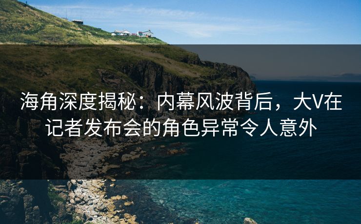 海角深度揭秘：内幕风波背后，大V在记者发布会的角色异常令人意外