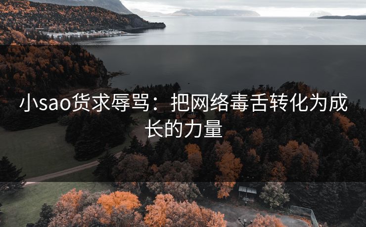 小sao货求辱骂：把网络毒舌转化为成长的力量